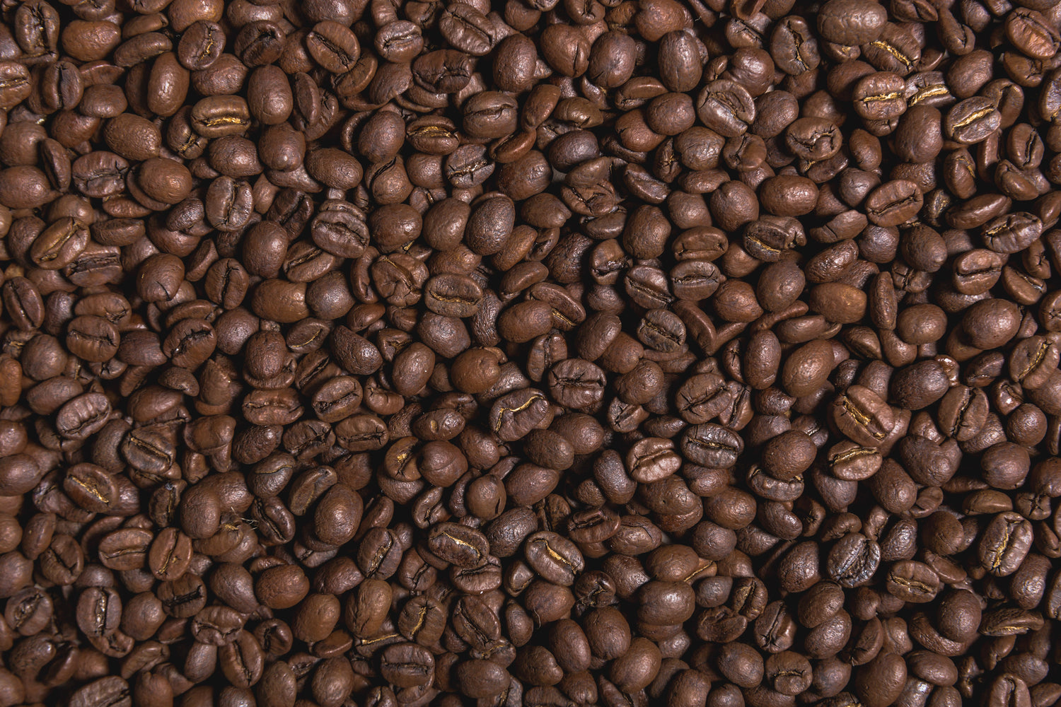 Our Whole Bean Coffees